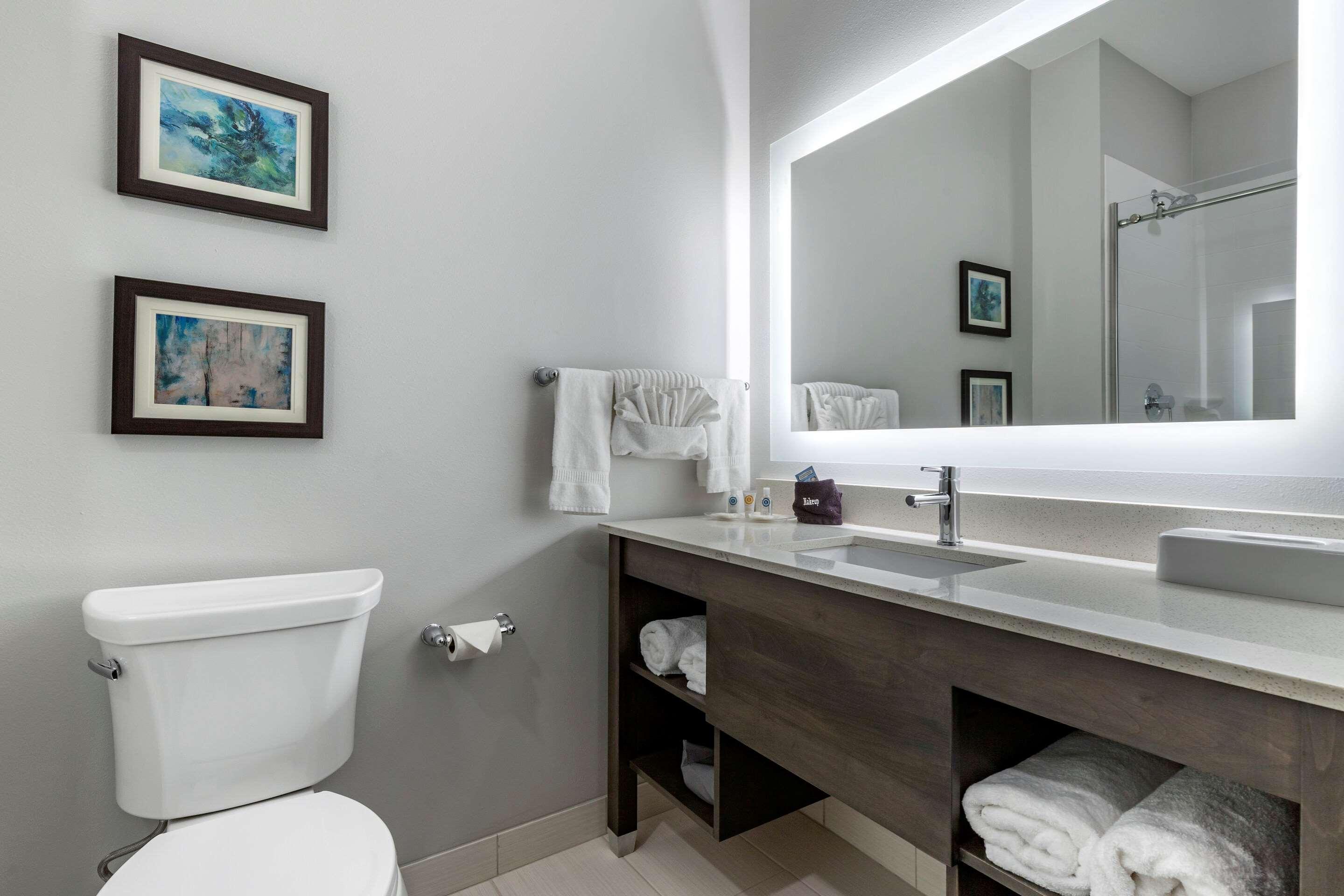 Comfort Suites Greenville Airport Экстерьер фото